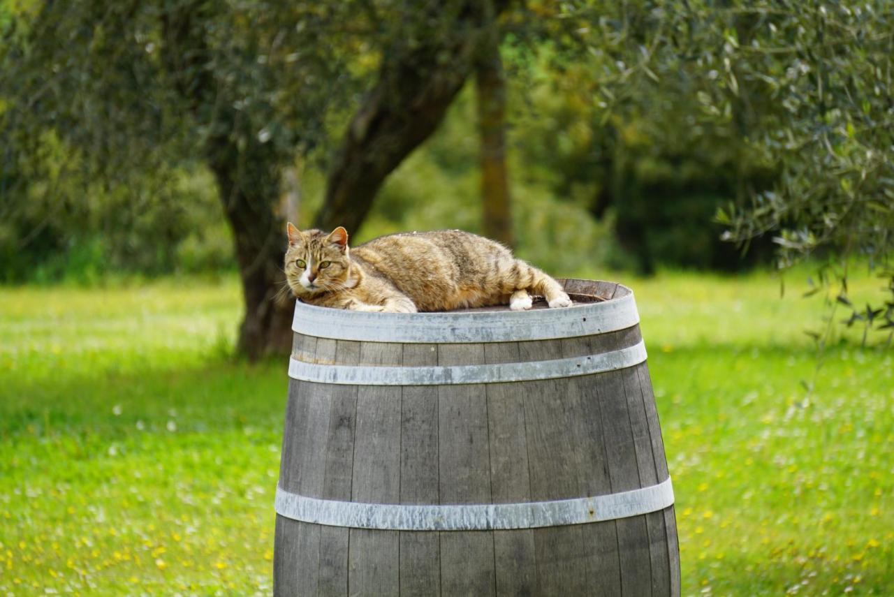 Fattoria Lornano Winery Villa Monteriggioni Exteriör bild