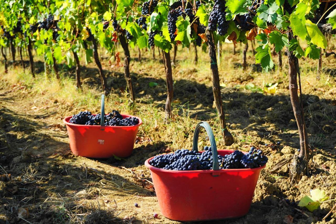 Fattoria Lornano Winery Villa Monteriggioni Exteriör bild